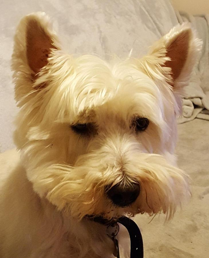Tanleys B&B Grantown-on-Spey Ngoại thất bức ảnh