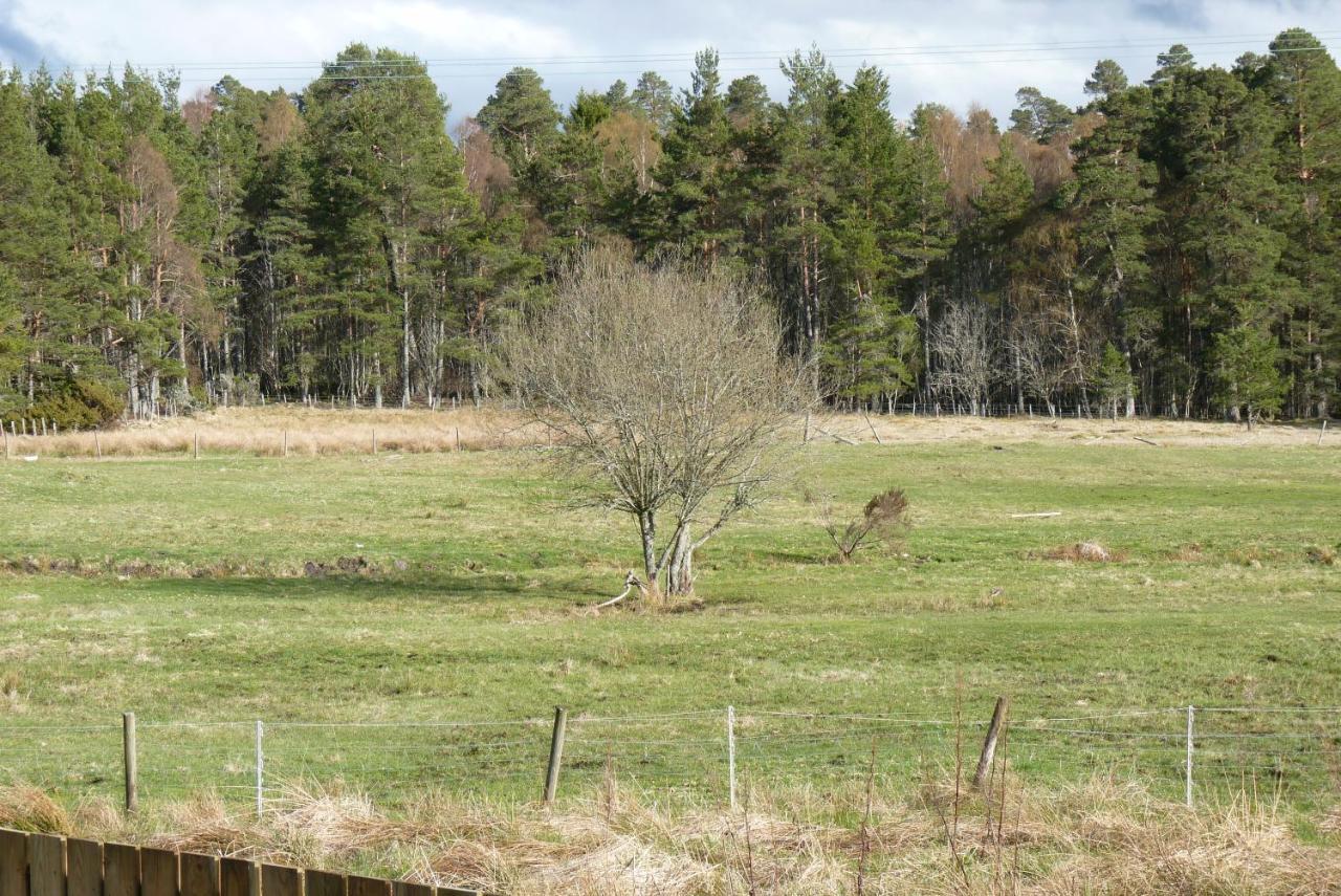 Tanleys B&B Grantown-on-Spey Ngoại thất bức ảnh
